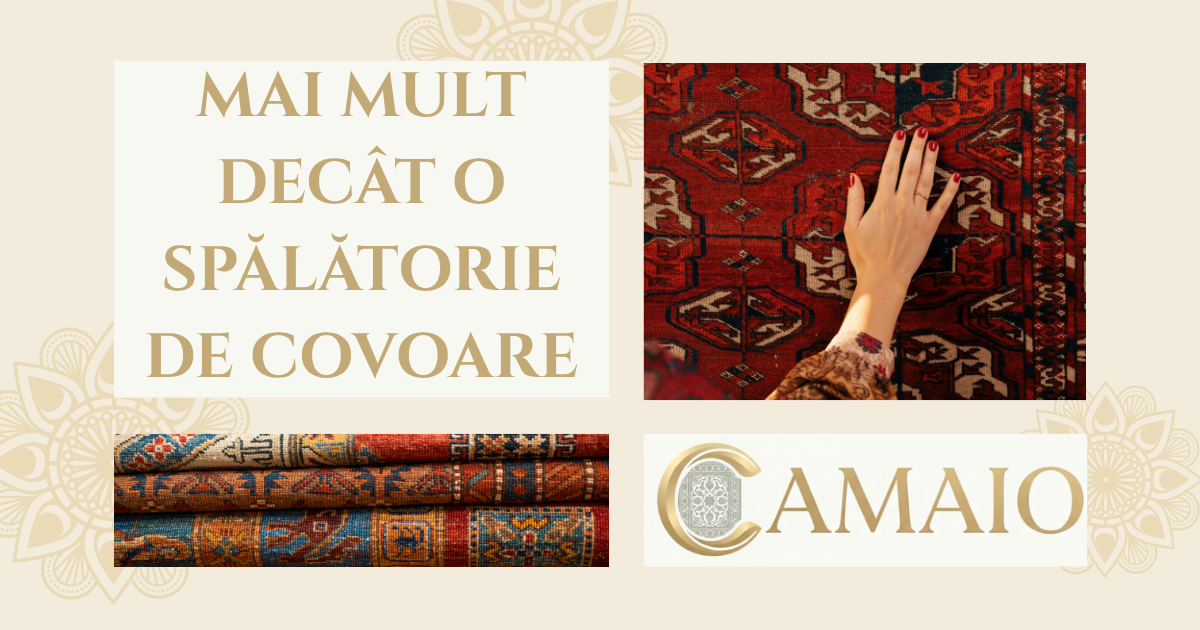 Camaio - Mai mult decat o spalatorie de covoare
